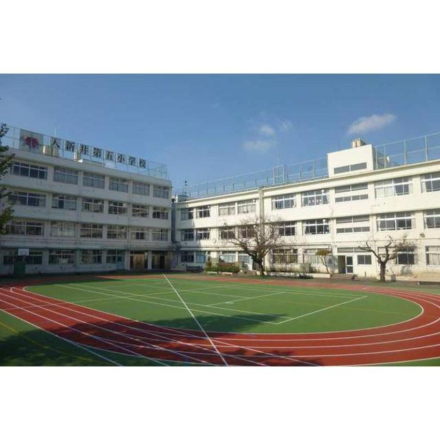 小学校　入新井第五小学校（小学校）まで640m