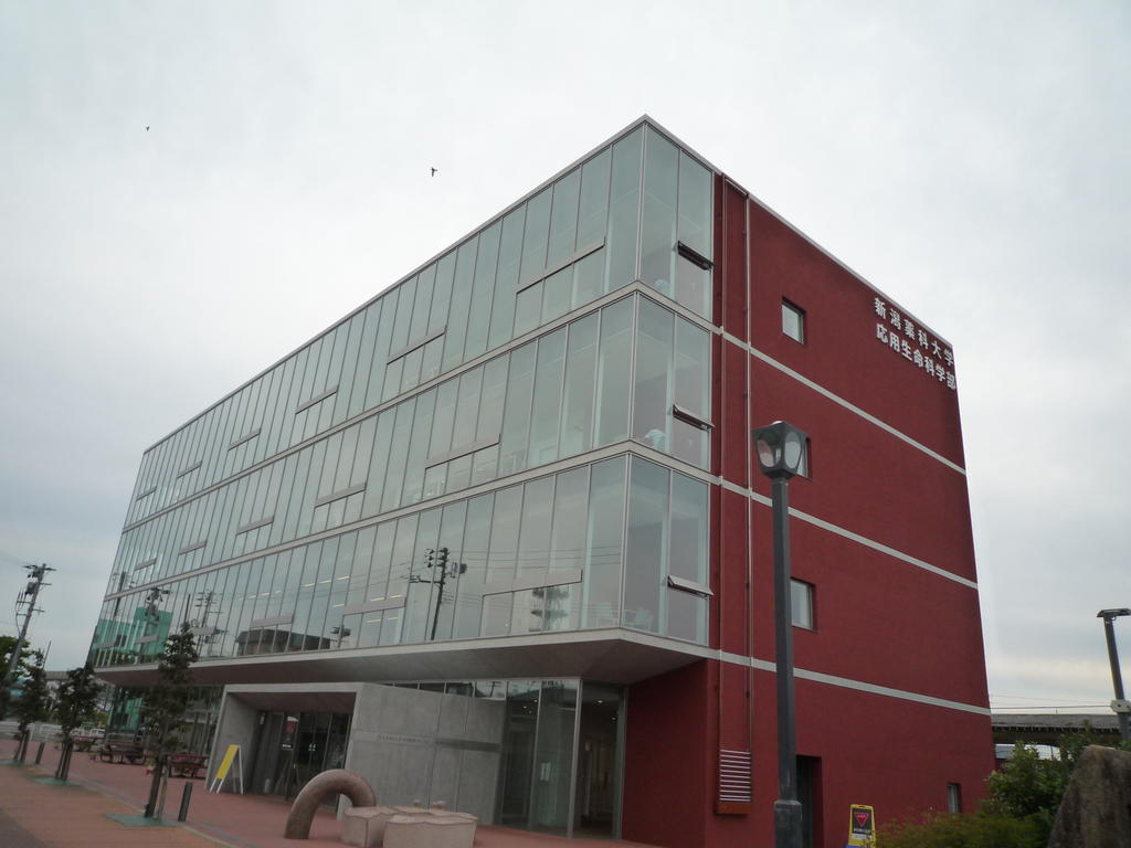 その他　新潟薬科大徒歩６分です。