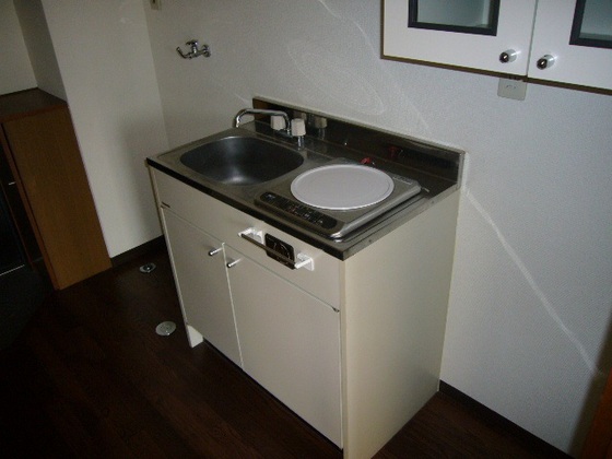 キッチン　他号室のお写真です