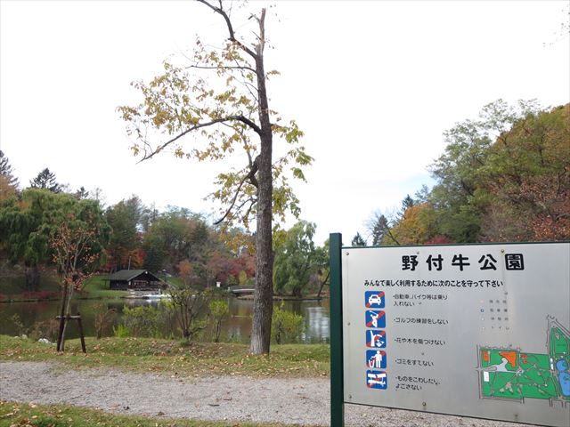 公園　野付牛公園（公園）まで528m