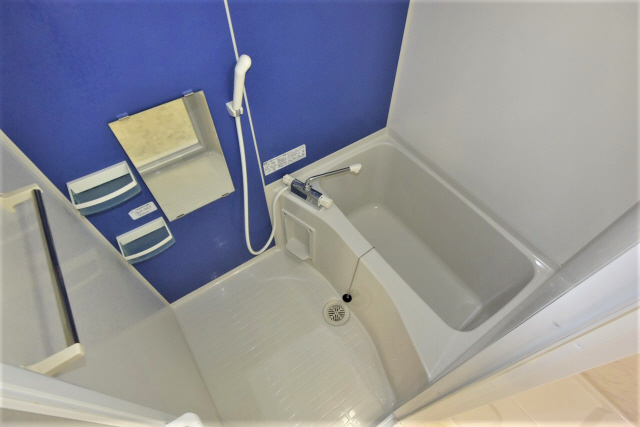 バス・シャワールーム　落ち着いた空間のお風呂です