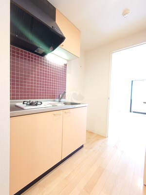 キッチン　AkisCourt