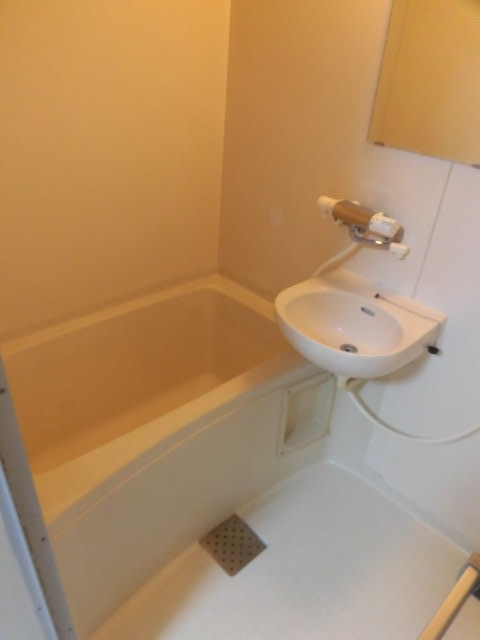 バス・シャワールーム　他号室の写真になります。