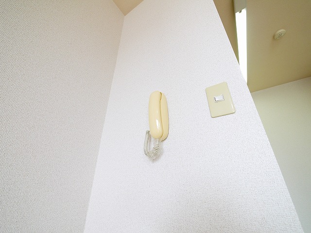 セキュリティ　インターホン付きで安心ですね。