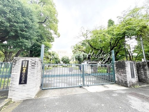 中学校　横浜国立大学教育学部附属横浜中学校（中学校）まで352m