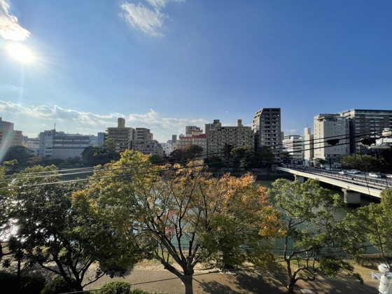 眺望　※別部屋の写真です