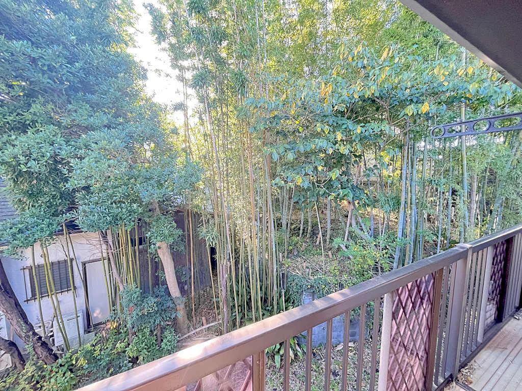 眺望　参考写真（別号室）
