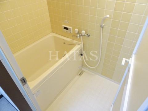 バス・シャワールーム　同物件別部屋です