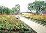 公園　川口西公園（公園）まで299m