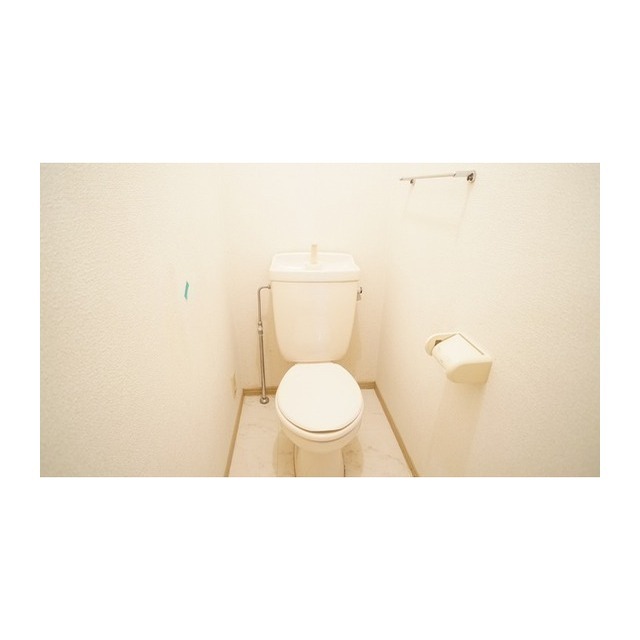 【ドミールＨＡＹＡＳＨＩ　Ｂのトイレ】