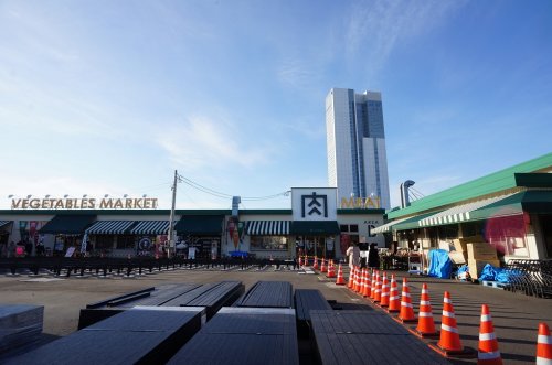 その他　ピアBandai（その他）まで494m