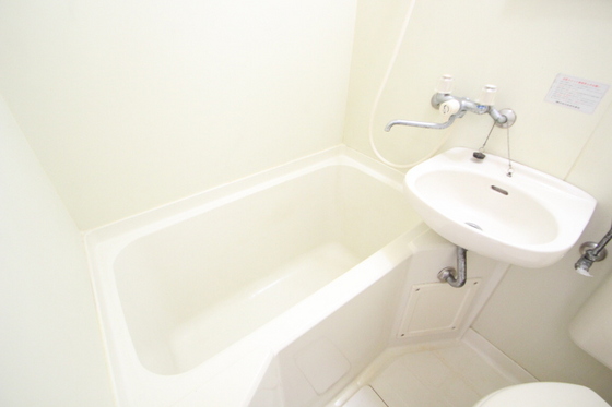 バス・シャワールーム　※別部屋の写真です