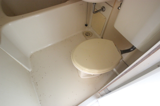 トイレ　※別部屋の写真です