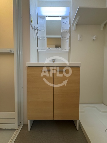 洗面設備　ハーモニーテラス墨江　独立洗面台