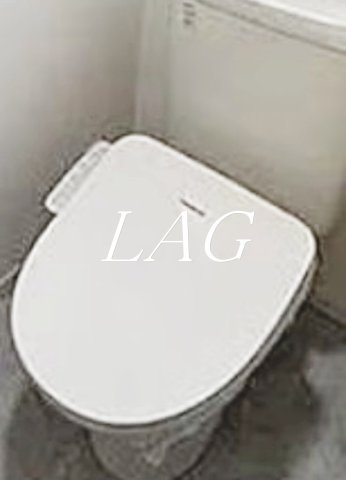 トイレ　トイレです。（同仕様です。）