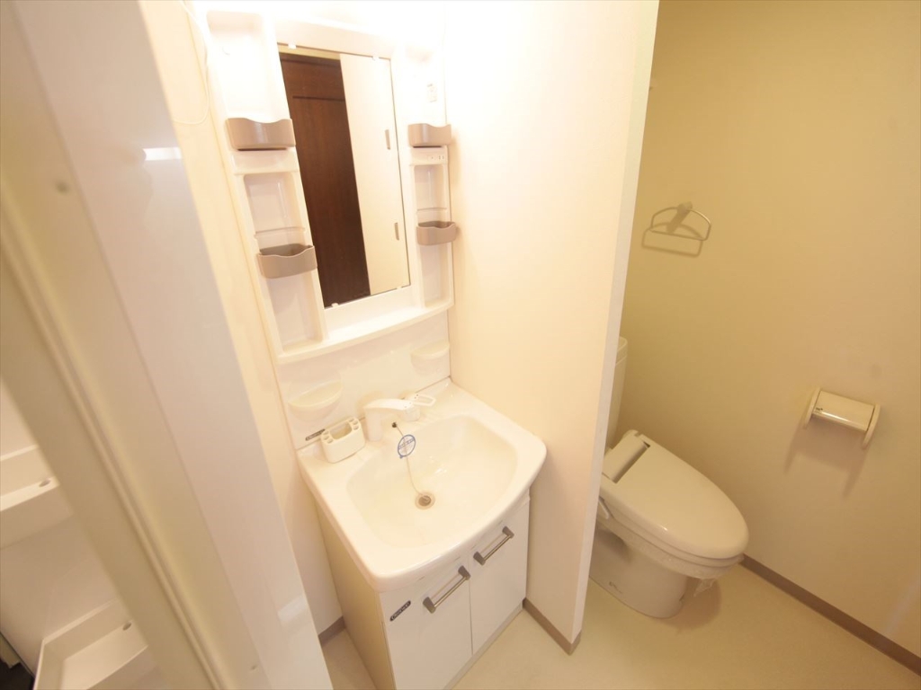 洗面設備　脱衣所　独立洗面台（シャンプードレッサー付）収納スペース有