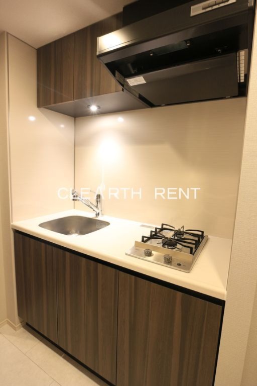 キッチン　スタイリッュなステンレス製2口ガス/浄水器一体型のハンドシャ