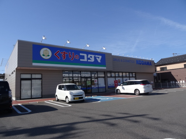 ドラックストア　ココカラファイン（ドラッグストア）まで973m