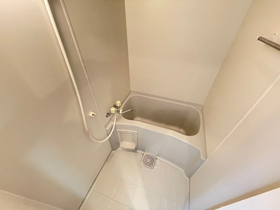 バス・シャワールーム　※別部屋の写真です