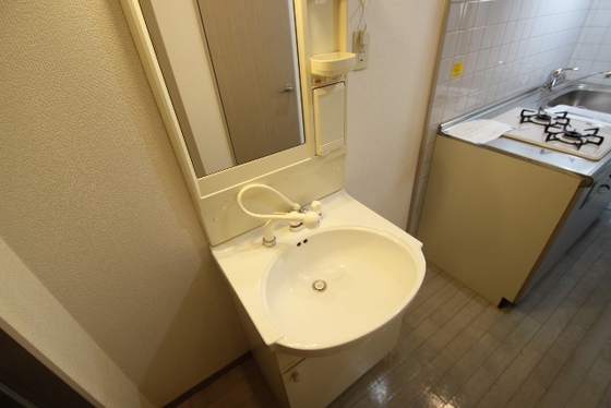 洗面設備　※別号室の写真です