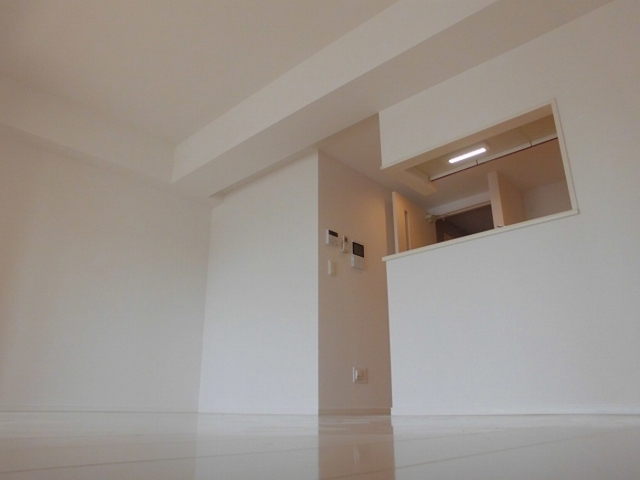 居室・リビング　ＬＤＫ１１帖