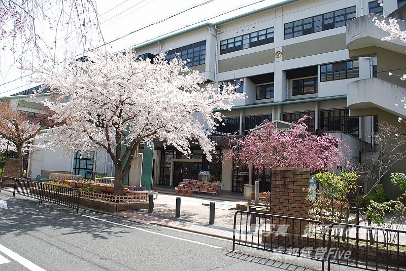 小学校　京都市立御所南小学校（小学校）まで422m