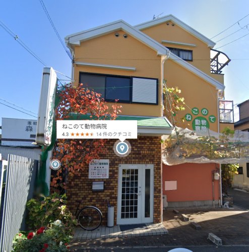 病院　ねこのて動物病院（病院）まで121m