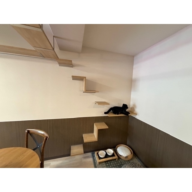 その他設備　モデルルーム設置