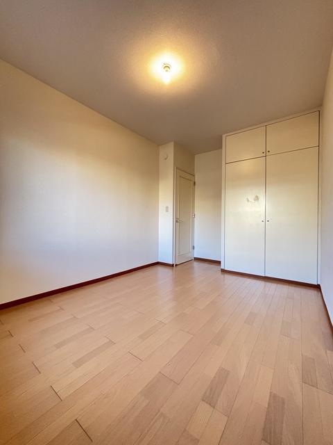 その他　※２０２５０１撮影