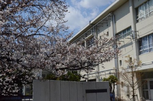中学校　高松市立一宮中学校（中学校）まで1048m