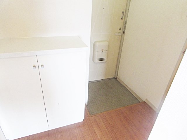 玄関　※同建物の類似写真となります。