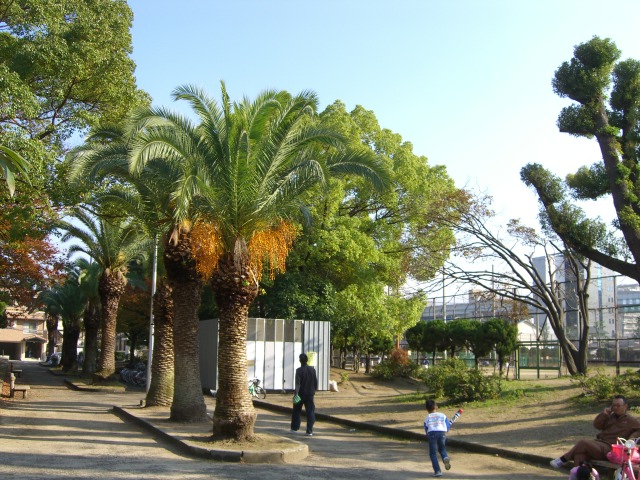 公園　布施公園（公園）まで400m