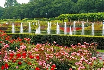 公園　都立神代植物公園正門（公園）まで791m