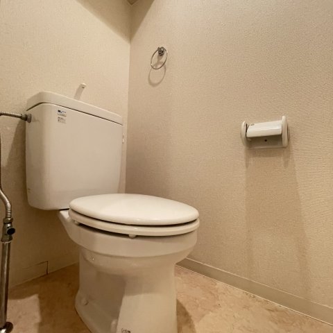トイレ　同仕様タイプです