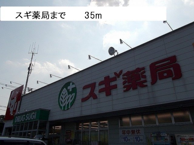 その他　スギ薬局まで35m