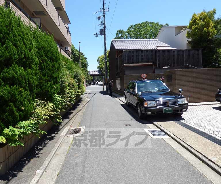 その他　目の前の道路です。