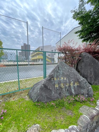 小学校　日吉小学校（小学校）まで297m