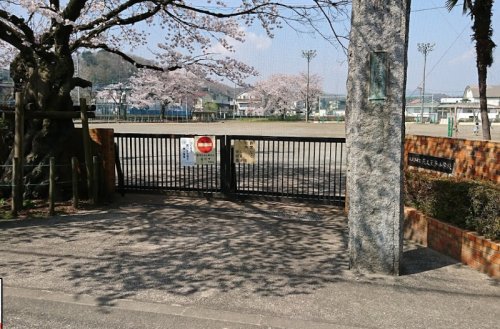 小学校　八王子市立元八王子小学校（小学校）まで590m