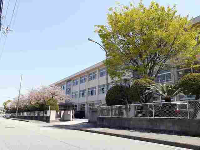 小学校　鳩里小学校（小学校）まで1131m
