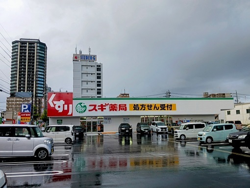 ドラックストア　スギ薬局東静岡店（ドラッグストア）まで300m