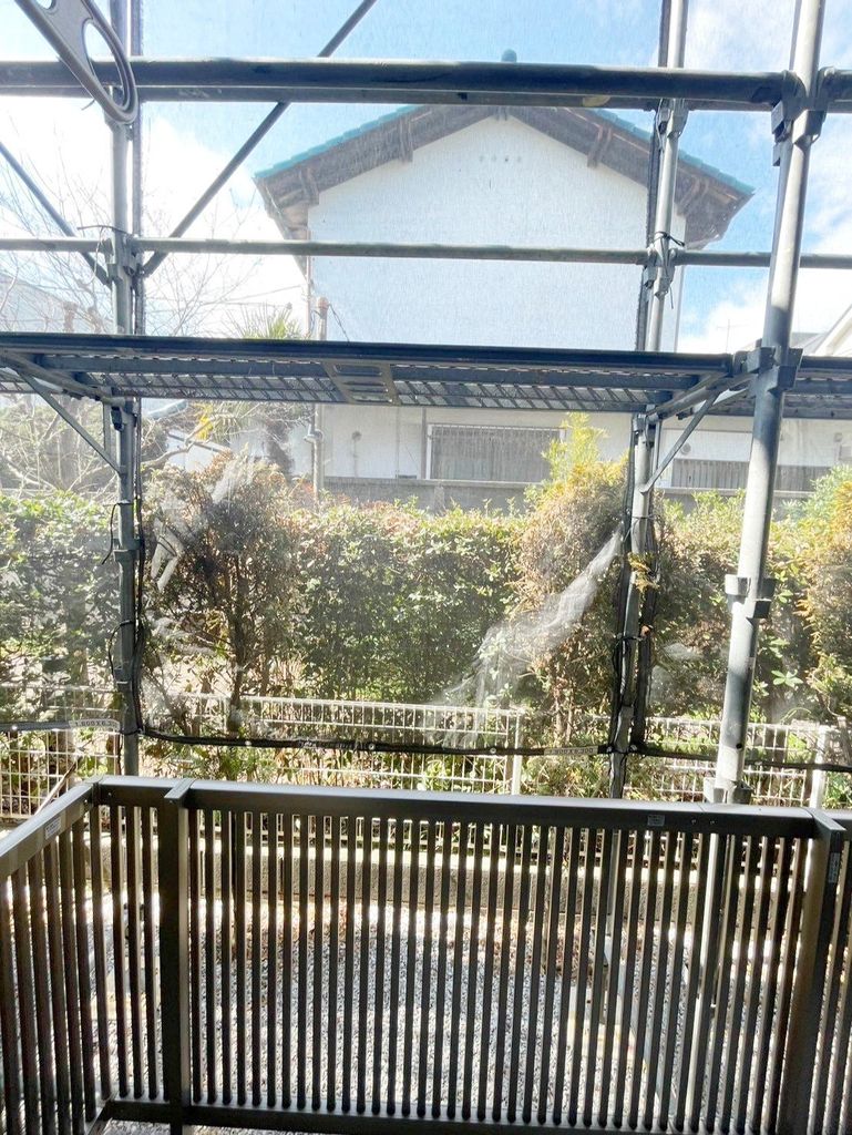 眺望　庭