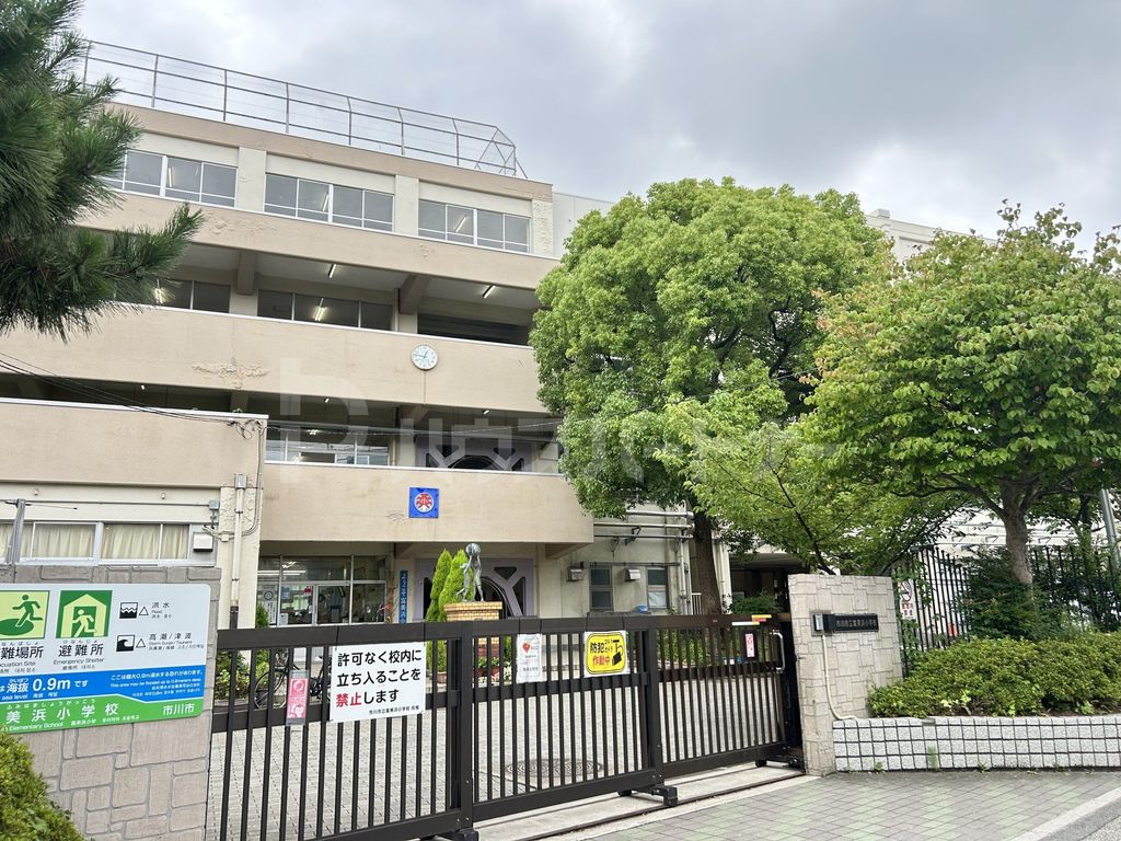 小学校　市川市立富美浜小学校（小学校）まで500m