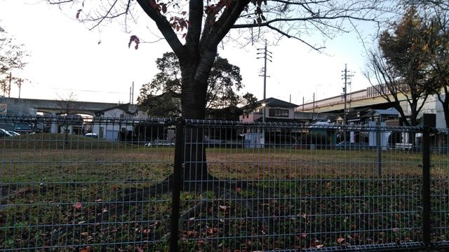 公園　南東山公園（公園）まで185m