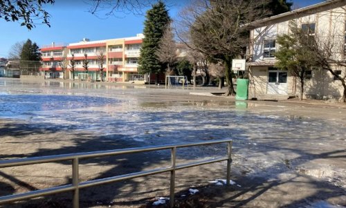 小学校　朝霞第一小学校（小学校）まで248m