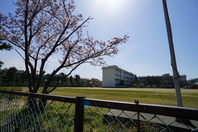 小学校　新潟市立坂井東小学校（小学校）まで347m