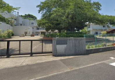 小学校　日野市立東光寺小学校（小学校）まで520m