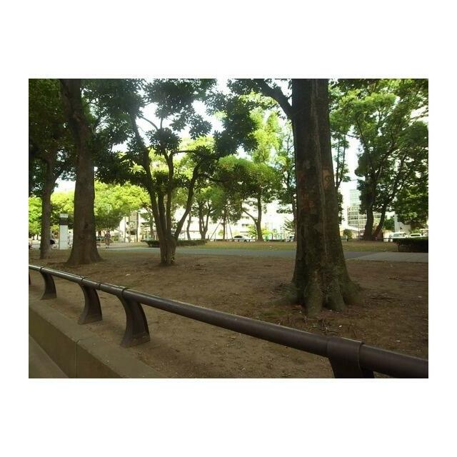 公園　大通り公園（公園）まで437m