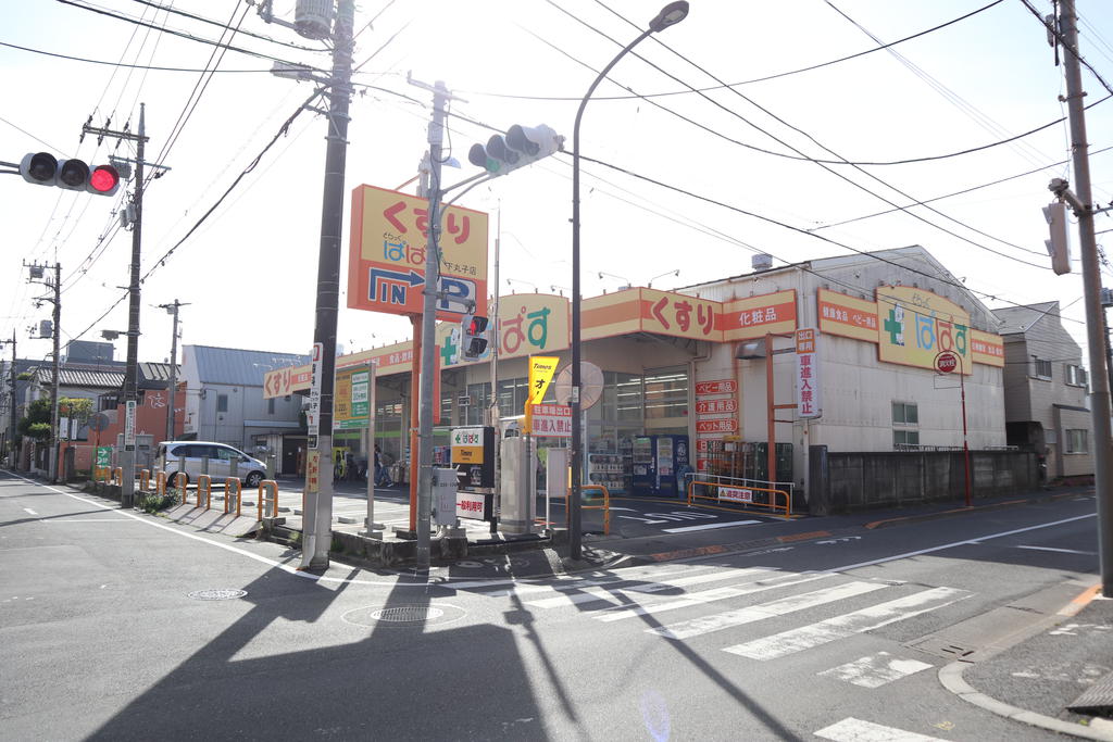 ドラックストア　どらっぐぱぱす下丸子店（ドラッグストア）まで368m