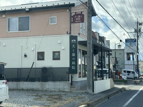 病院　犬と猫の病院Kendoc.（病院）まで545m