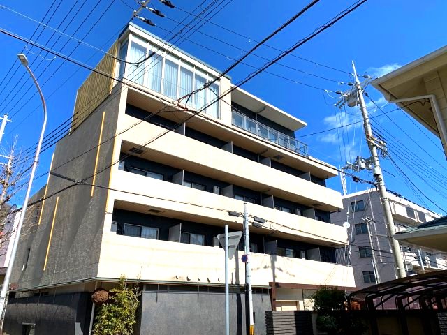 ラティ岡本